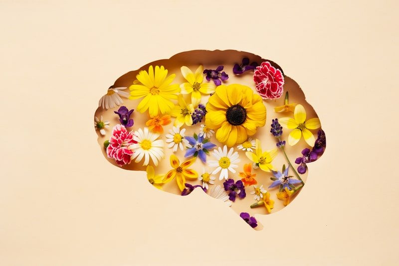 Pilares da inteligência emocional: Como desenvolvê-los na empresa?
